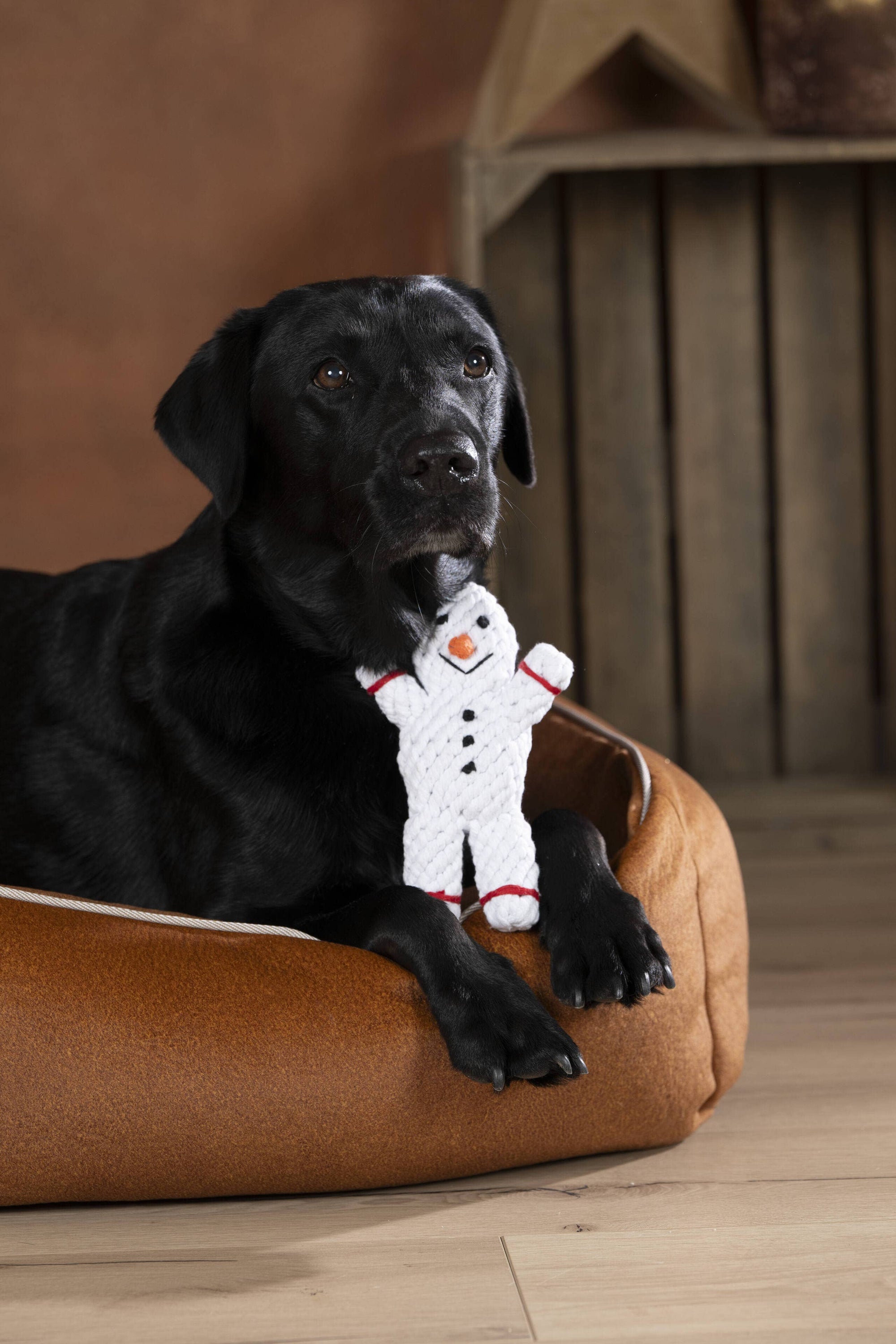 Shawn the Snowman Dog Toy Laboni