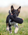 Poldi Pinguin Hundespielzeug Laboni