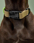 Dog collar Ipanema BioThane olive-neon green