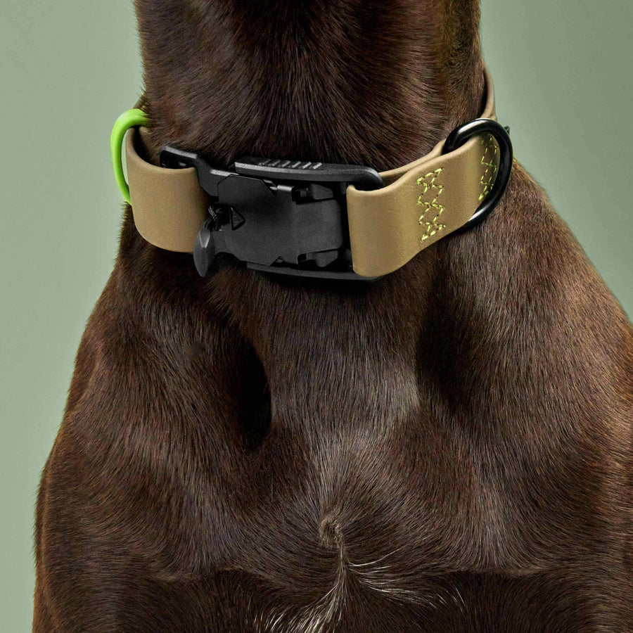 Hundehalsband Ipanema  BioThane Olive-Neongrün