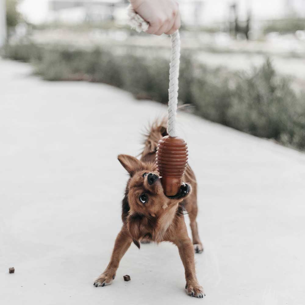 Hundespielzeug Rub Bouncy Grösse M