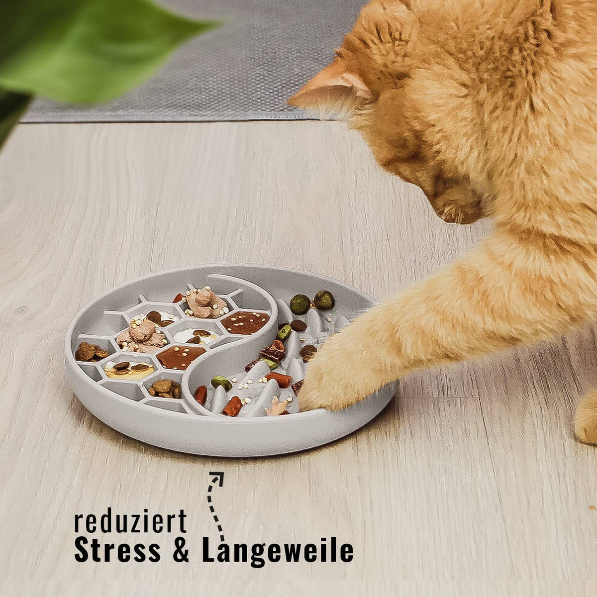 Ne&amp;no® Anti-Schlingnapf / Schleckschale für Hunde &amp; Katzen: Stone Grey