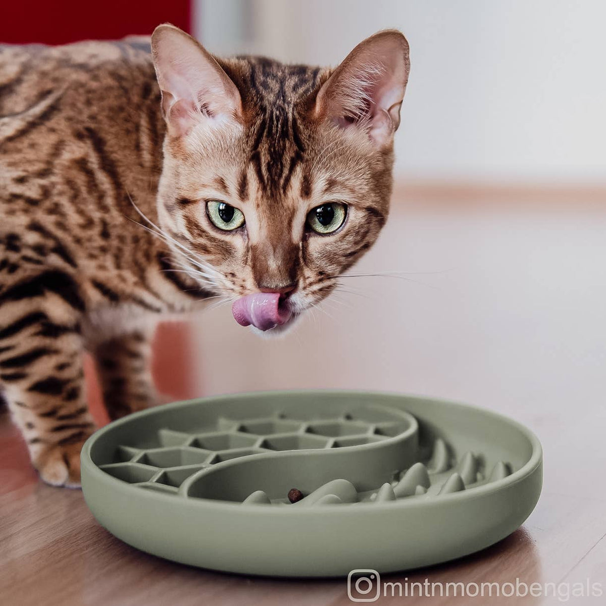 Ne&amp;no® Anti-Schlingnapf / Schleckschale für Hunde &amp; Katzen: Stone Grey