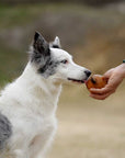 Hundespielzeug Rub Hole Grösse L