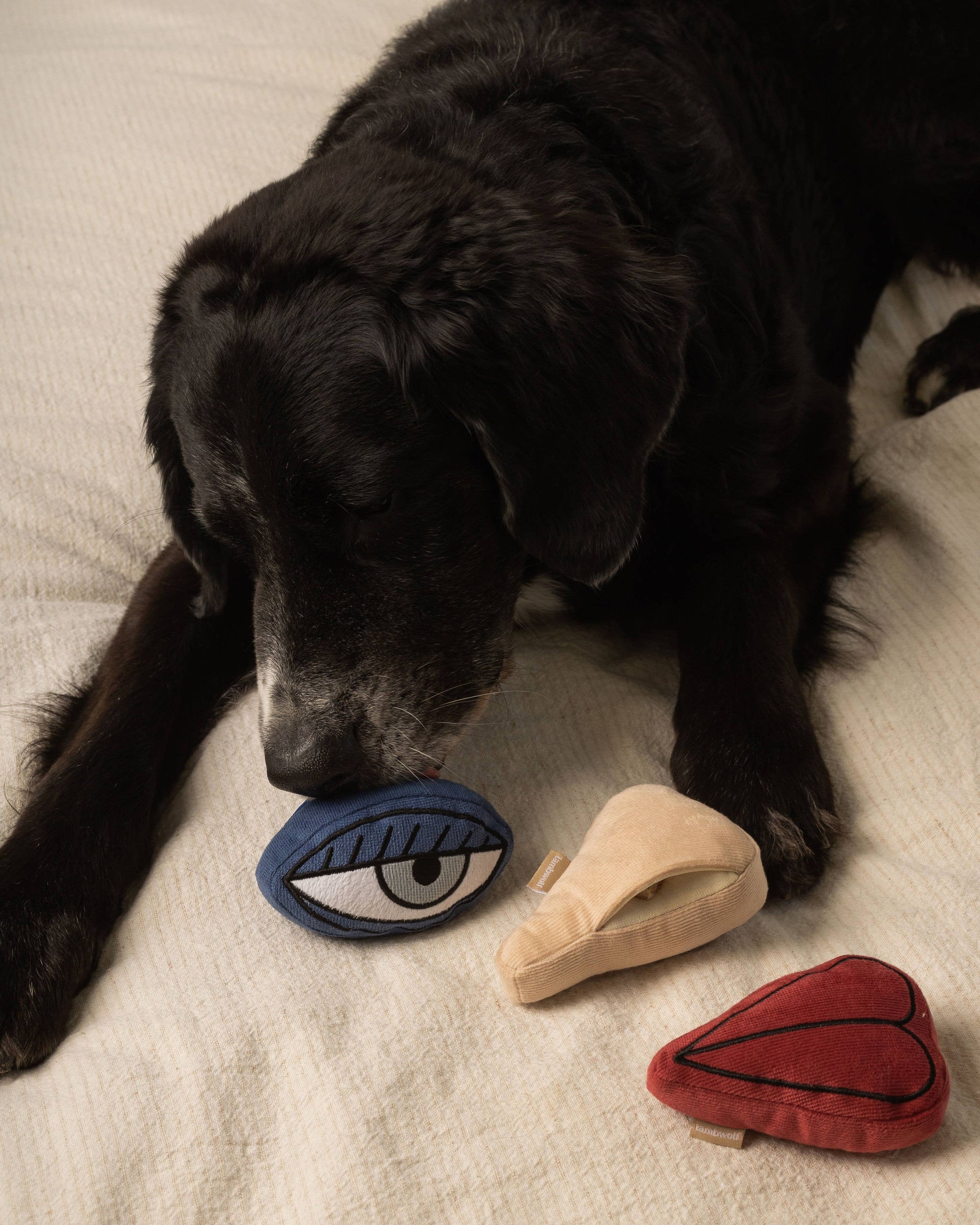 PICASSO//BEREICHERUNGSSPIELZEUG FÜR HUNDE