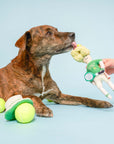 Schnüffelspiel Tennisspieler Hundespielzeug