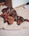 Hundspielzeug Dackel Musch