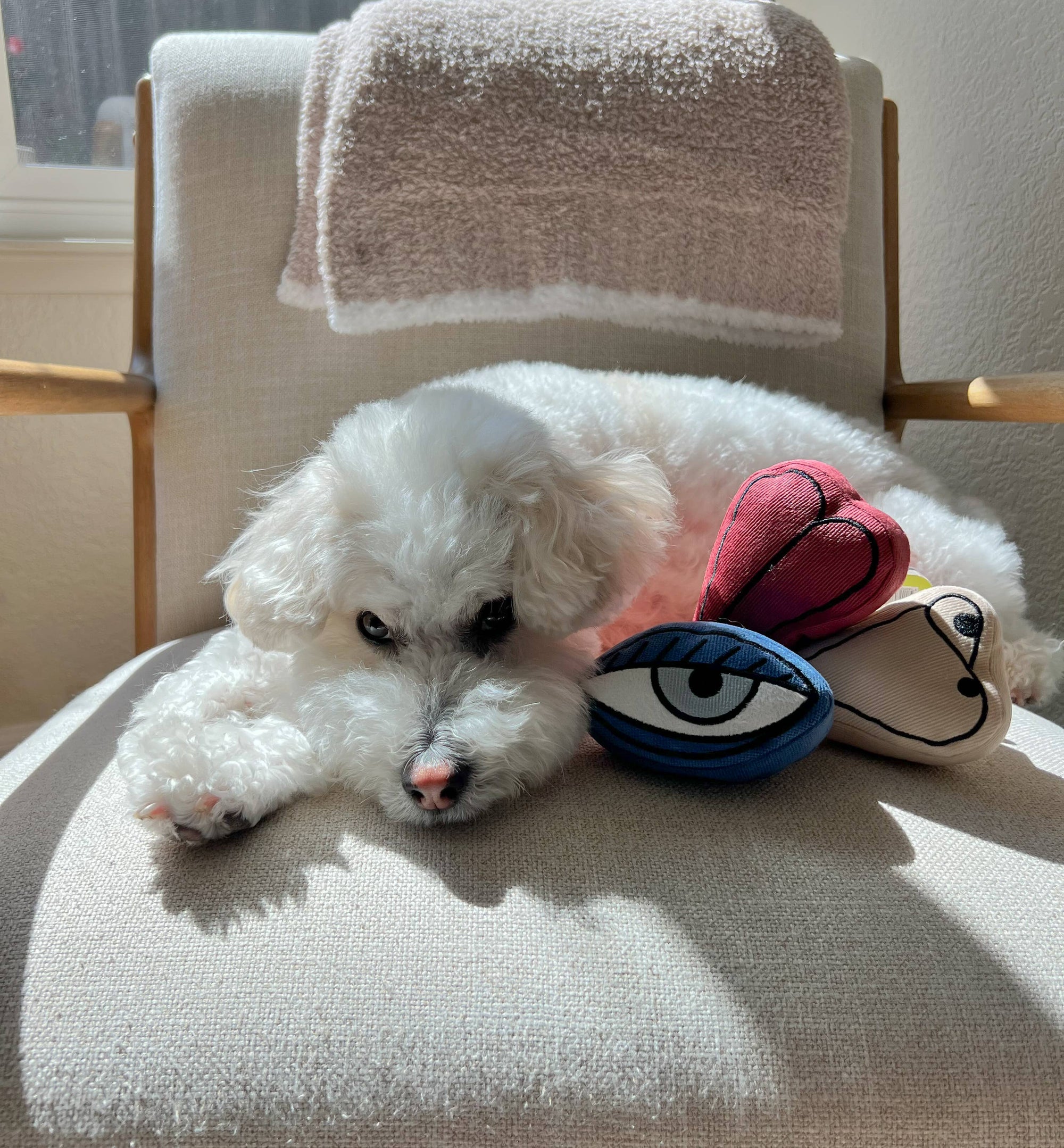PICASSO//BEREICHERUNGSSPIELZEUG FÜR HUNDE
