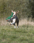 Kalli Krokodil Hundespielzeug Laboni