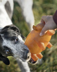 Hundespielzeug Rub Piggy Bank Grösse L