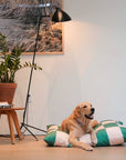 Hundebett The Fritz Bed Grande – Striped