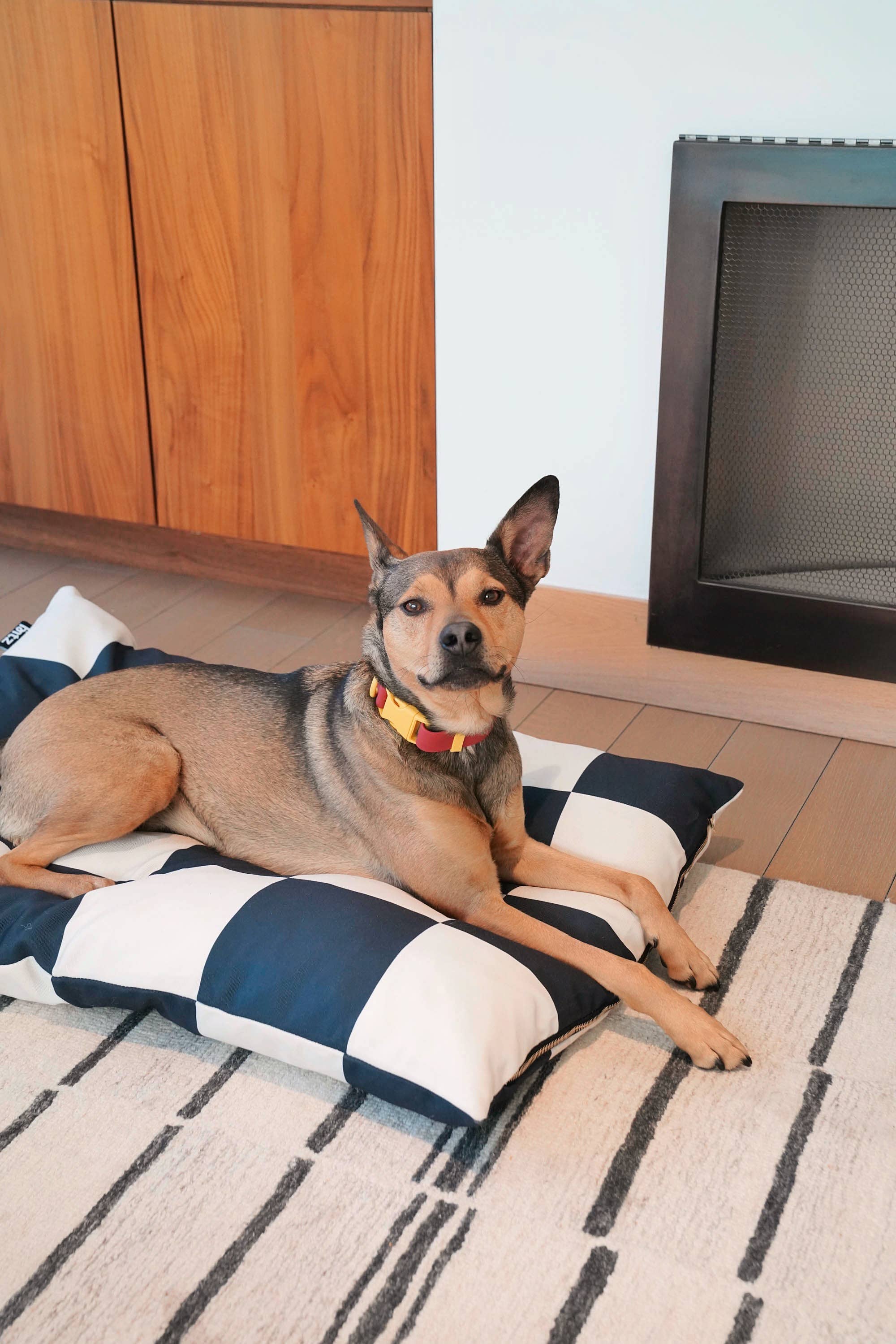 Hundebett The Fritz Bed Grande – Striped