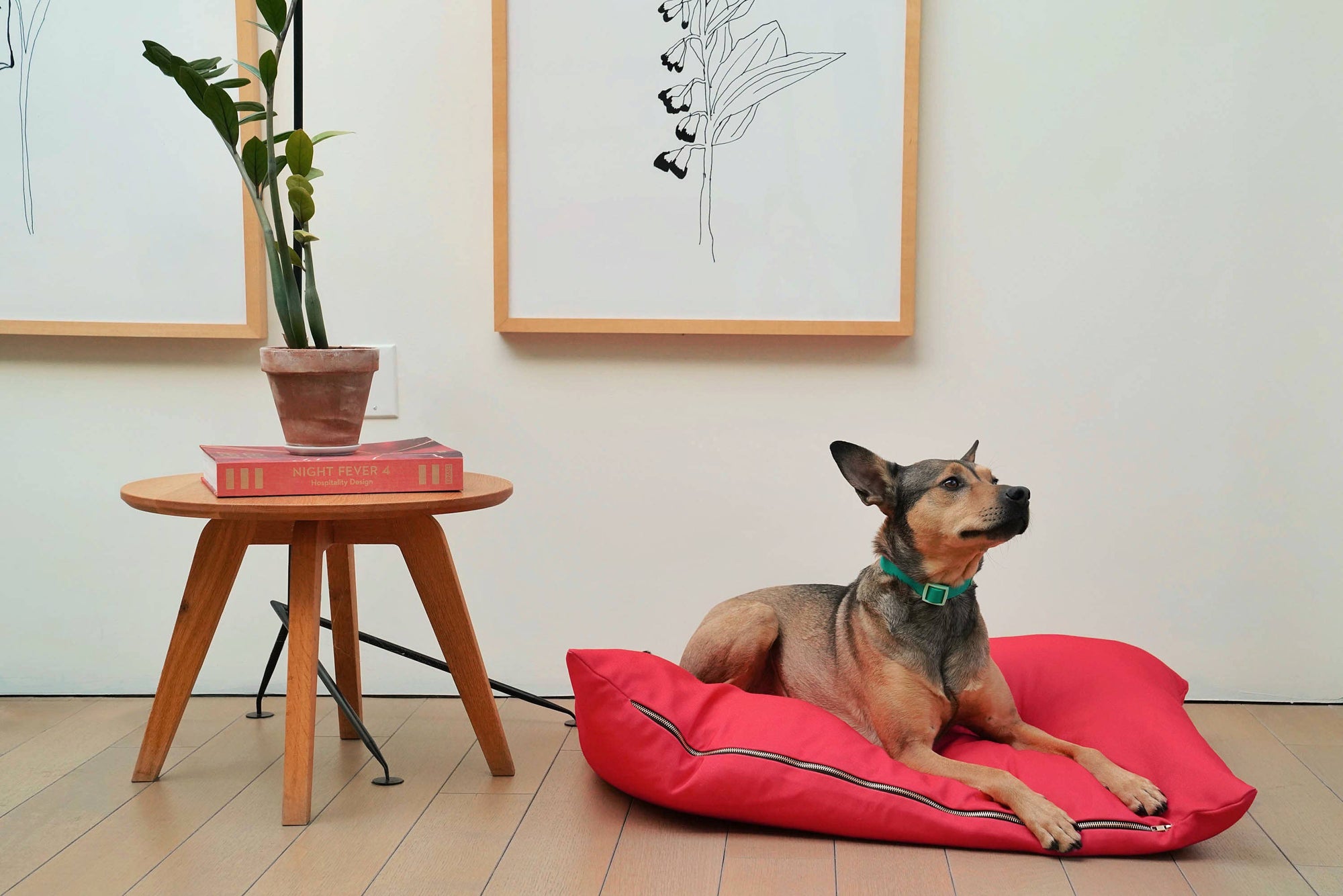 Hundebett The Fritz Bed Grande – Striped