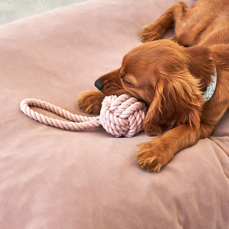 Rope toy Nodo Nude