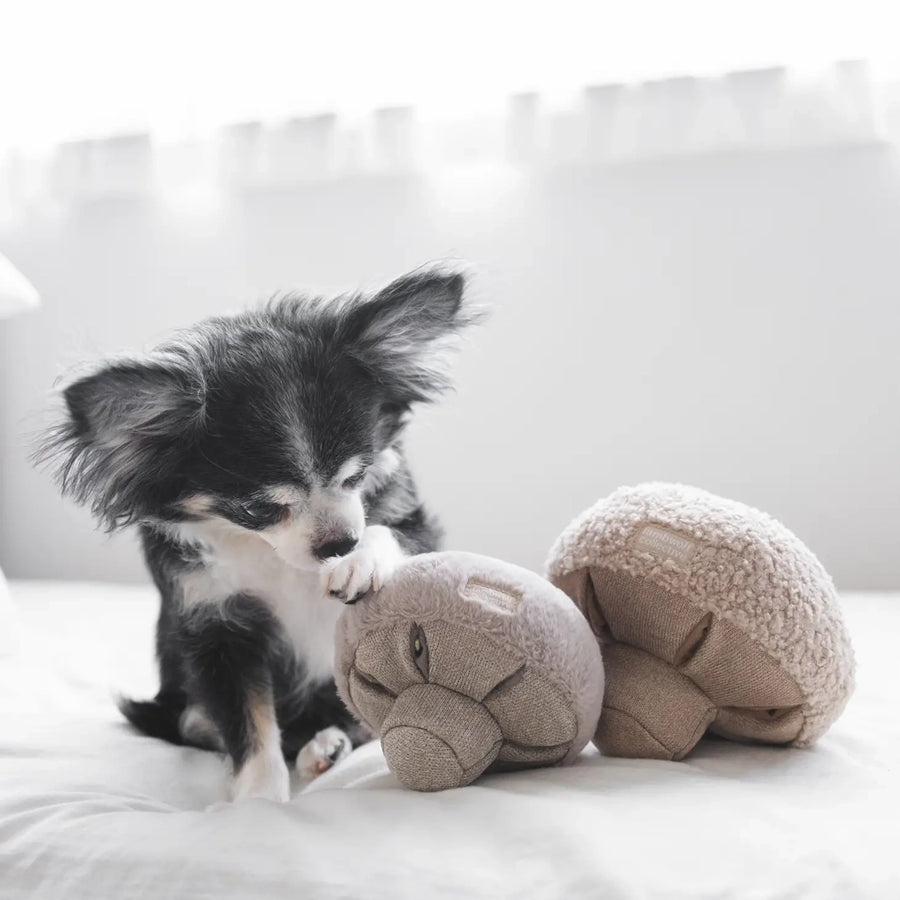 Hundespielzeug Pilz Guu Hafer