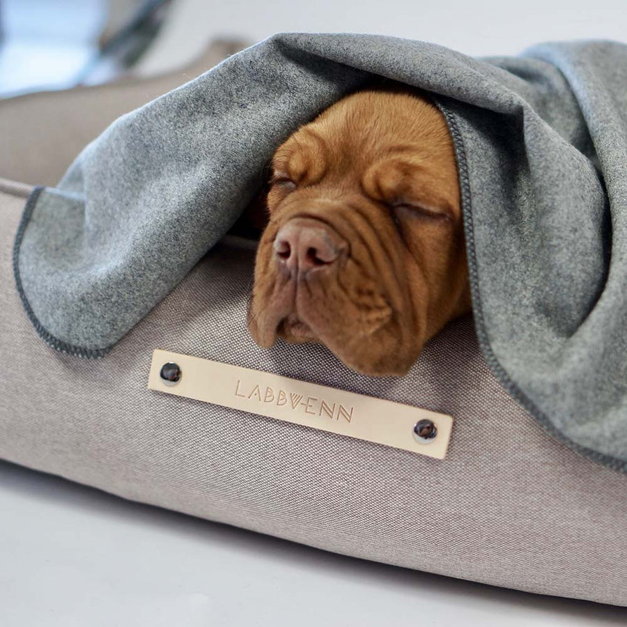 Dog Travel Blanket Åsnen Silver 