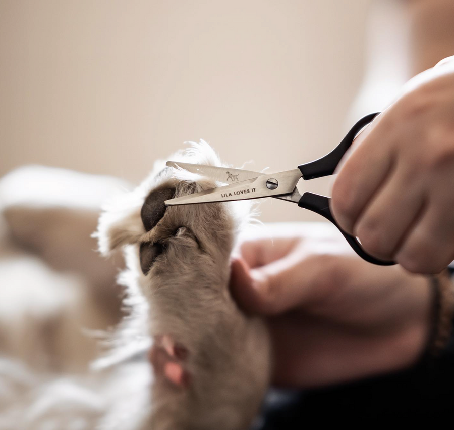 Premium paw scissors