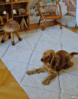 Berber carpet washable RugCycled XS