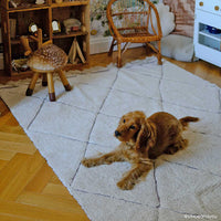 Berber carpet washable RugCycled XS