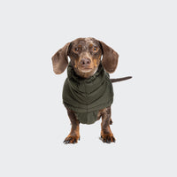 Dog coat Alaska Olive 