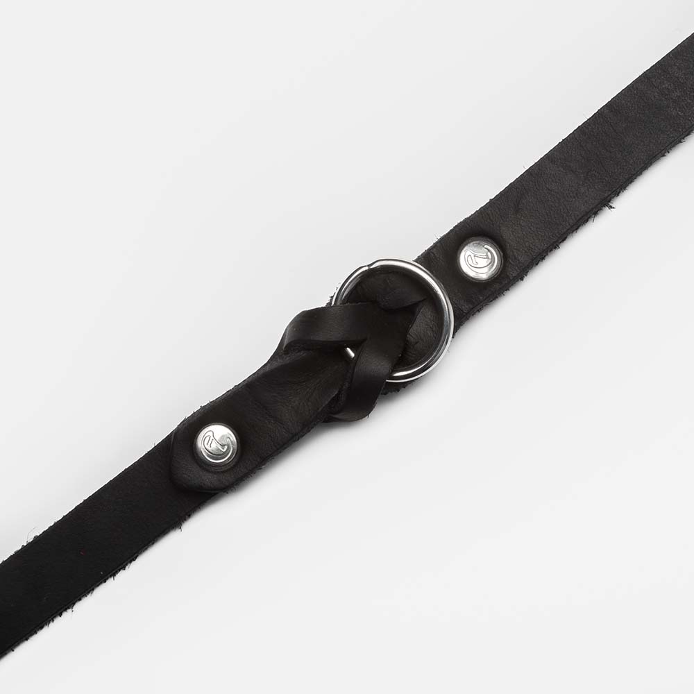 Collier pour chien Riverside Park Noir / noir 