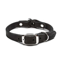 Dog collar Riverside Park Black / black 