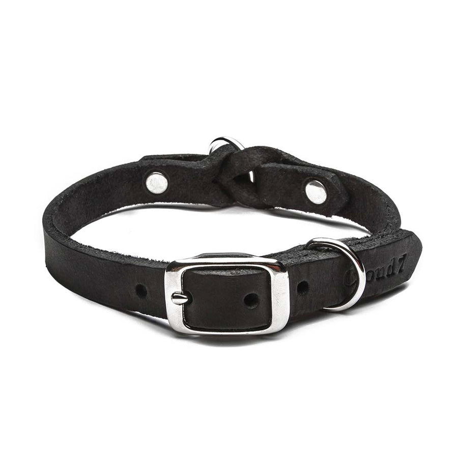 Collier pour chien Riverside Park Noir / noir 