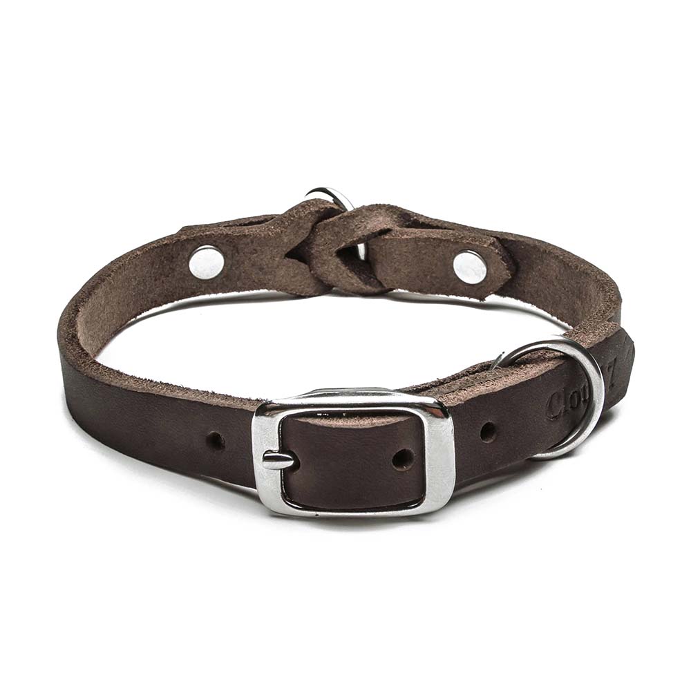 Dog collar Riverside Park Saddle Brown / brown 