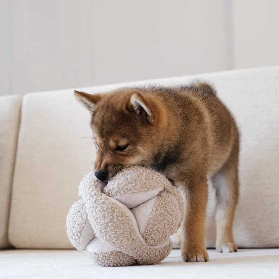 Hundespielzeug Monti Hafer