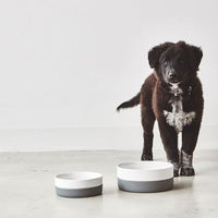 Gamelle pour chien Coppa ardoise / grise en porcelaine avec revêtement en silicone antidérapant
