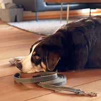 Dog leash soft grip anti-slip white