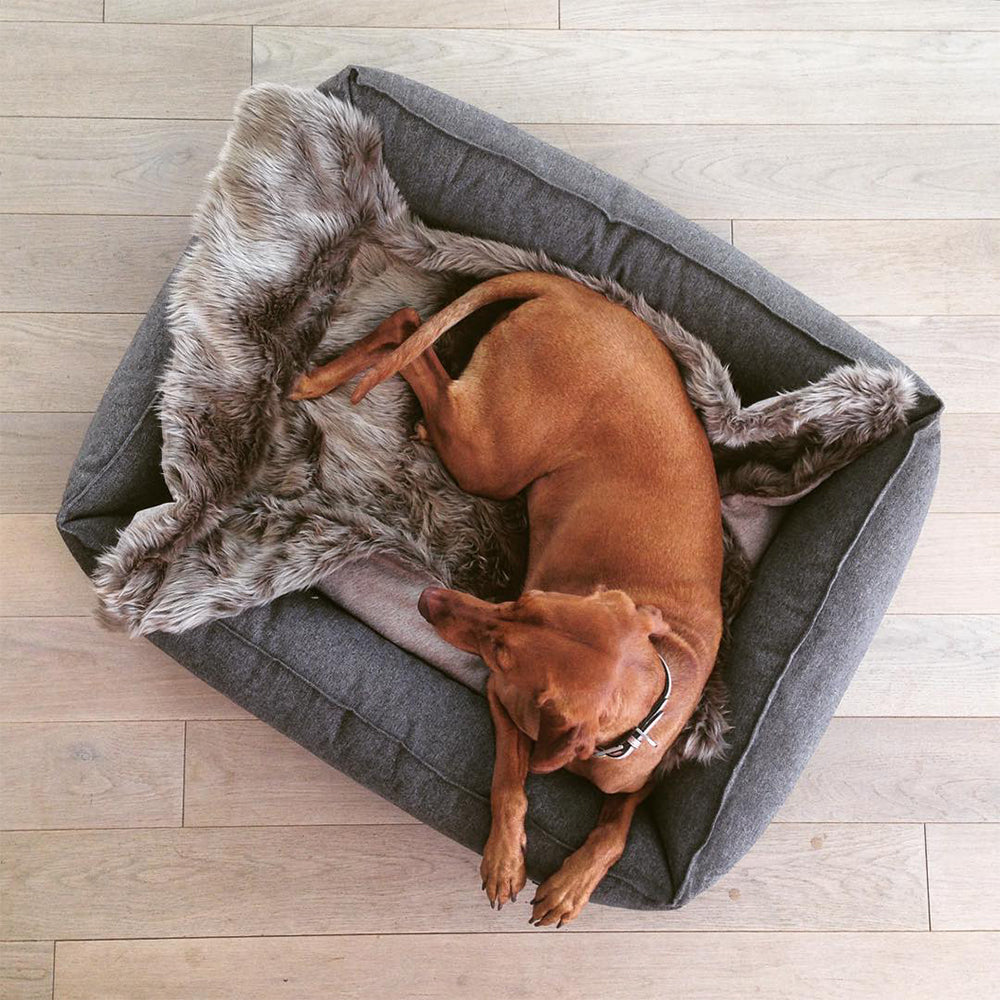Dog blanket Lana pebble grey