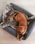 Dog blanket Lana pebble grey