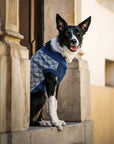 Dog sweater PULLO 