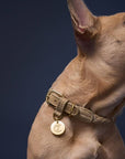 Hundehalsband Ravello Sandy / beige