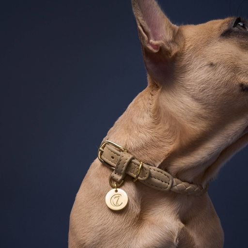 Dog collar Ravello Sandy / beige