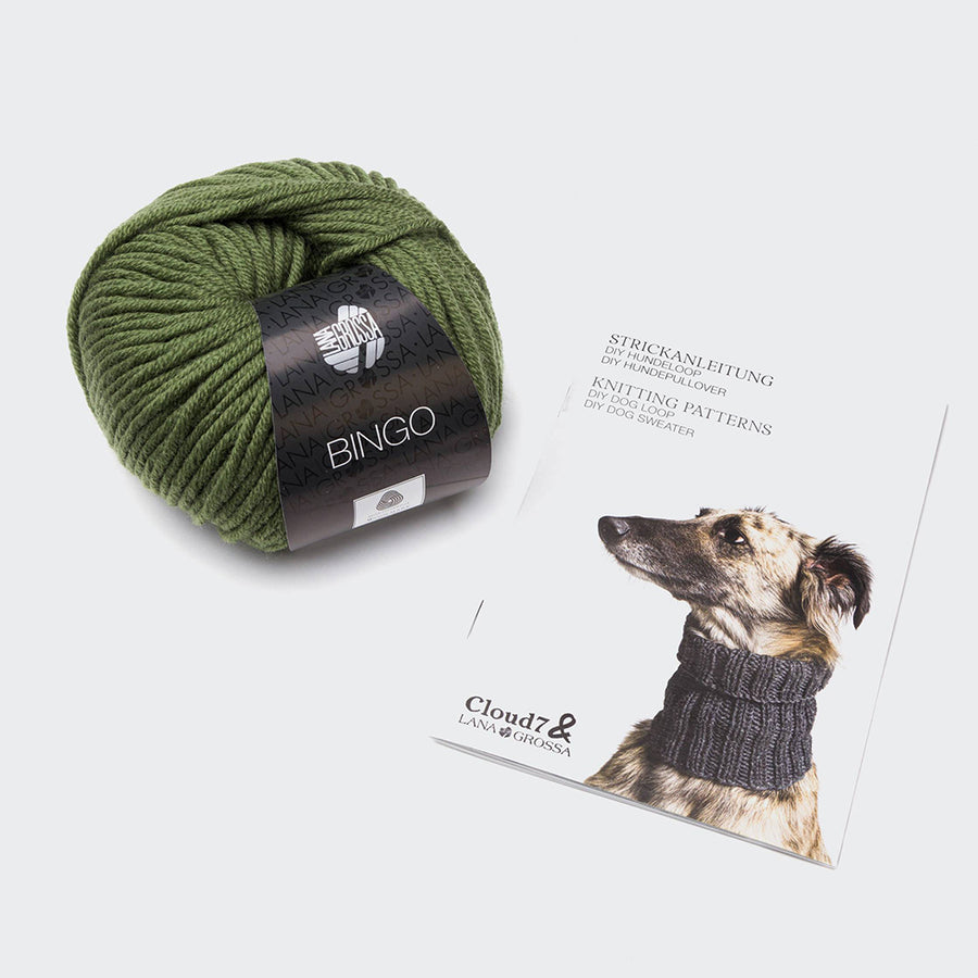 DIY knitting kit dog loop Sage 