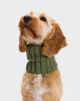 Kit tricot DIY chien boucle Sauge 