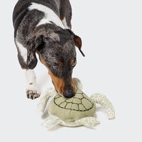 Hundespielzeug Schildkröte Enna