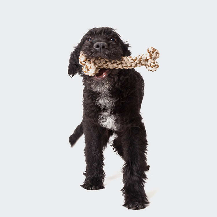 Dog toy rope bone 