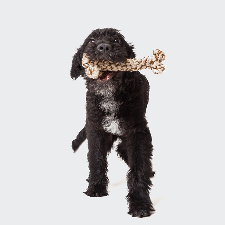 Hundespielzeug Seilknochen