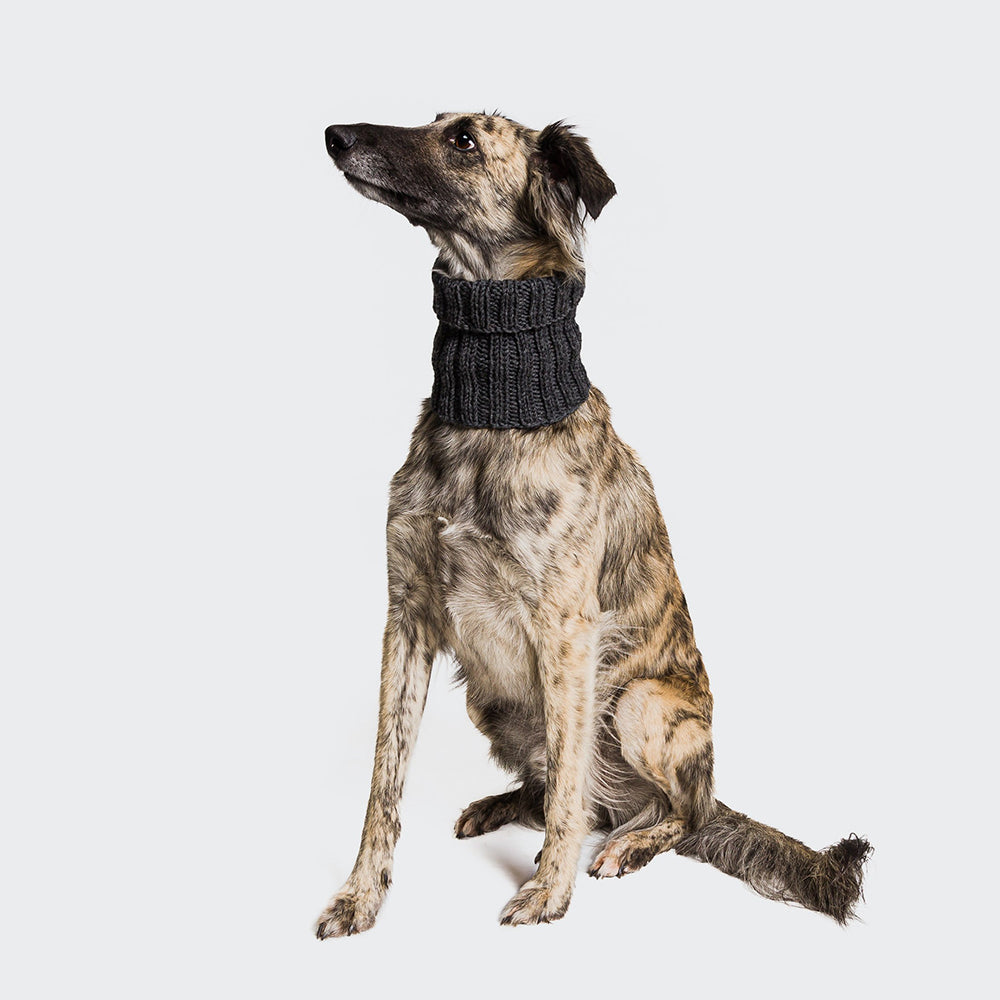 Kit tricot DIY chien boucle Stone 