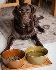 Dog Bowl Alain Avocado