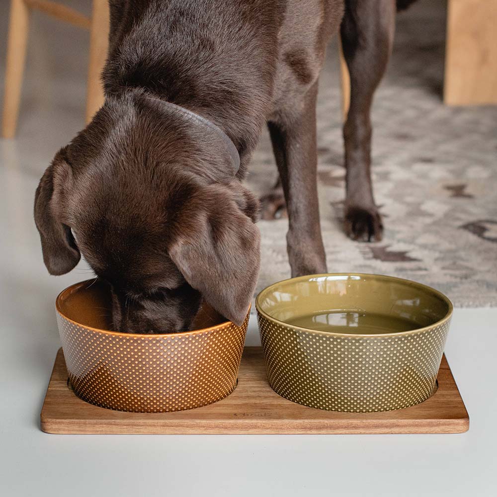 Dog Station acacia wood bowl mat