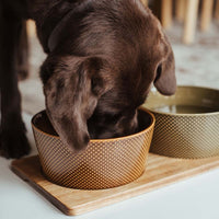 Dog Station acacia wood bowl mat