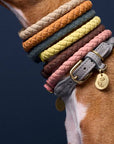 Dog collar Ravello Dove / grey