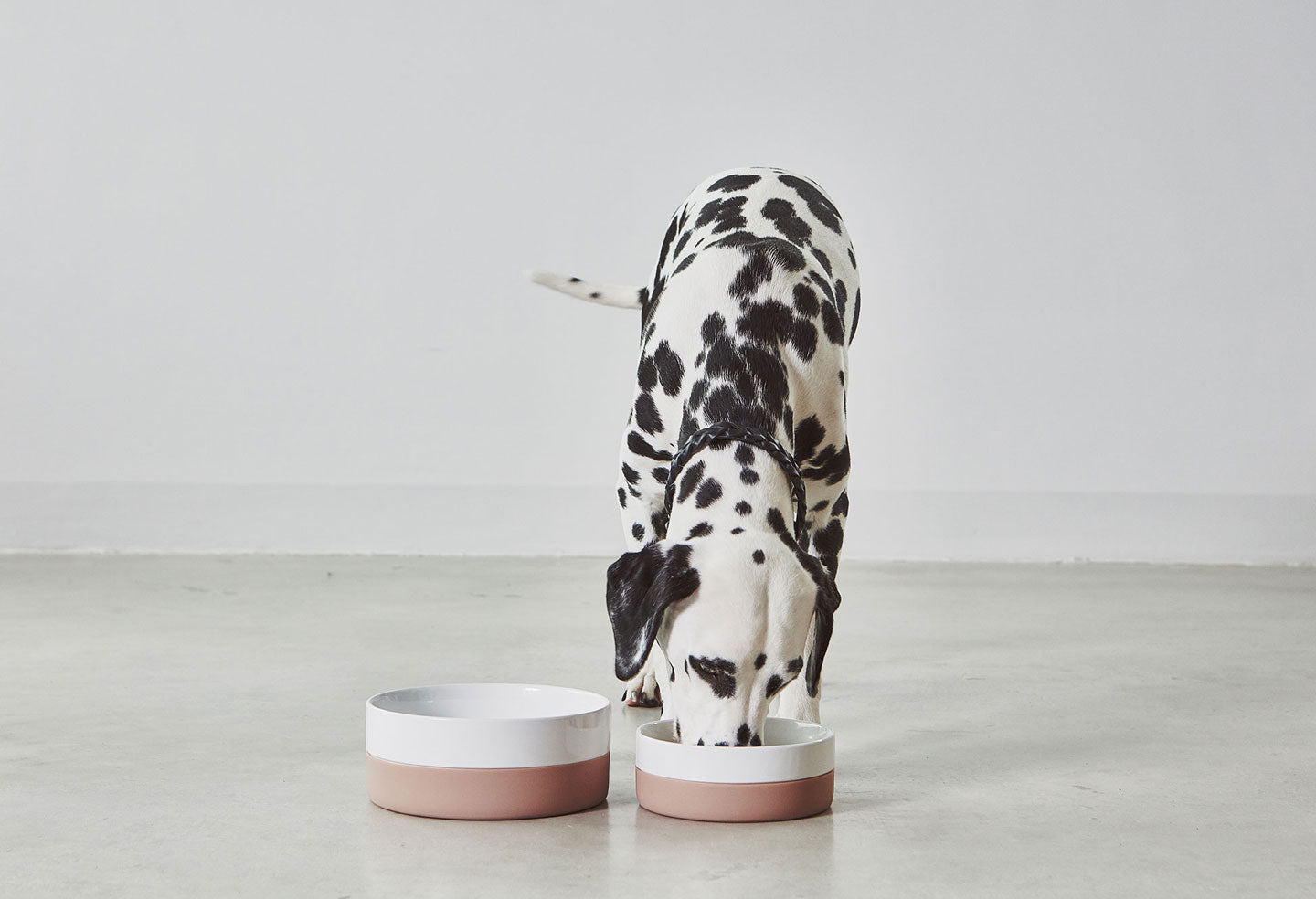 Gamelle pour chien Coppa Nude / rose en porcelaine avec revêtement en silicone antidérapant