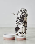 Hundenapf Coppa Nude aus Porzellan mit rutschfestem Silikonmantel