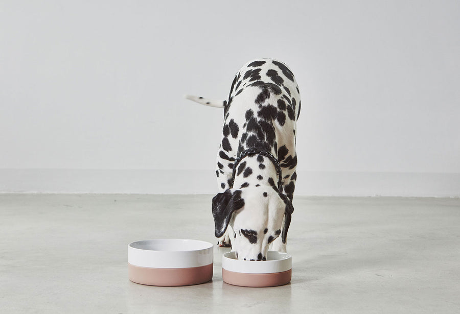 Hundenapf Coppa Nude / rosa aus Porzellan mit rutschfestem Silikonmantel