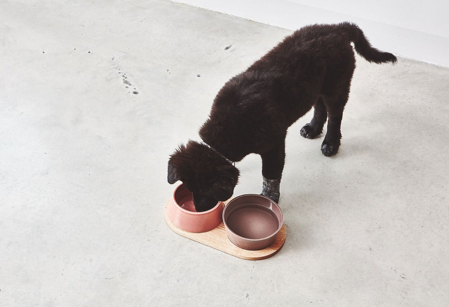 Dog bowl set Doppio Berry / pink made of porcelain in Scandinavian design